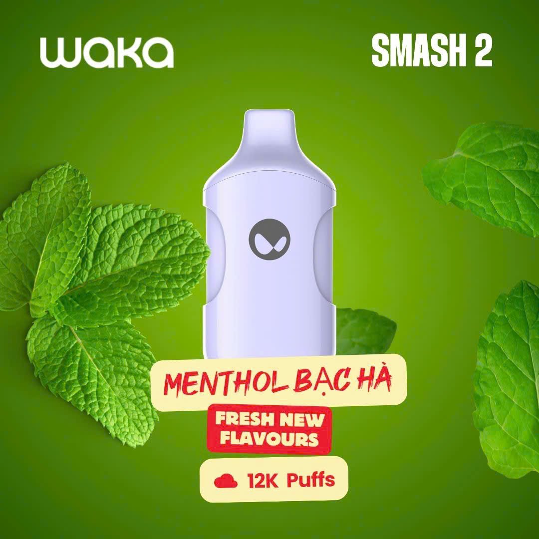 悦刻 WAKA Smash 2 一次性电子烟-12000口-多口味可选 薄荷