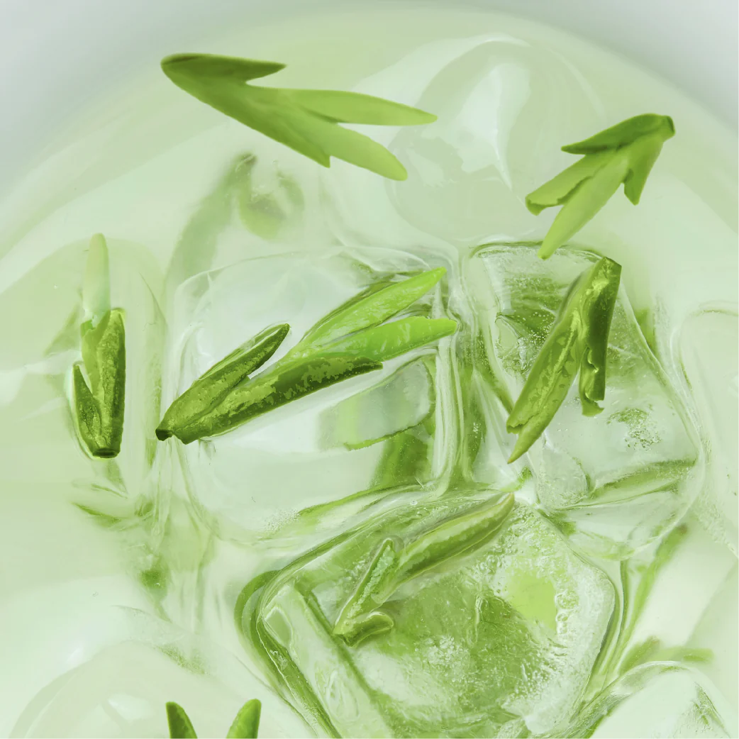 高凉龙井Longjing Ice Tea(悦刻海外第六代陶瓷芯版本)